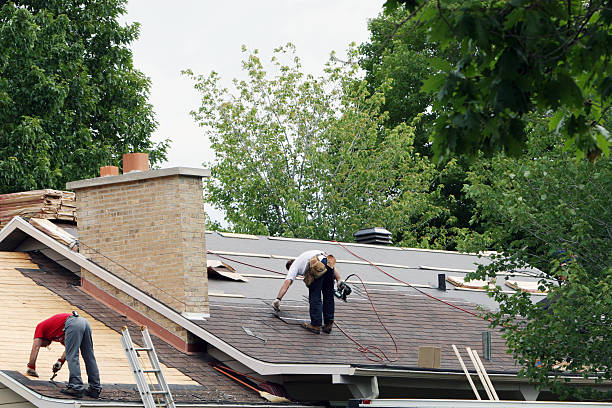 Best Roof Gutter Cleaning  in Brimfield, OH